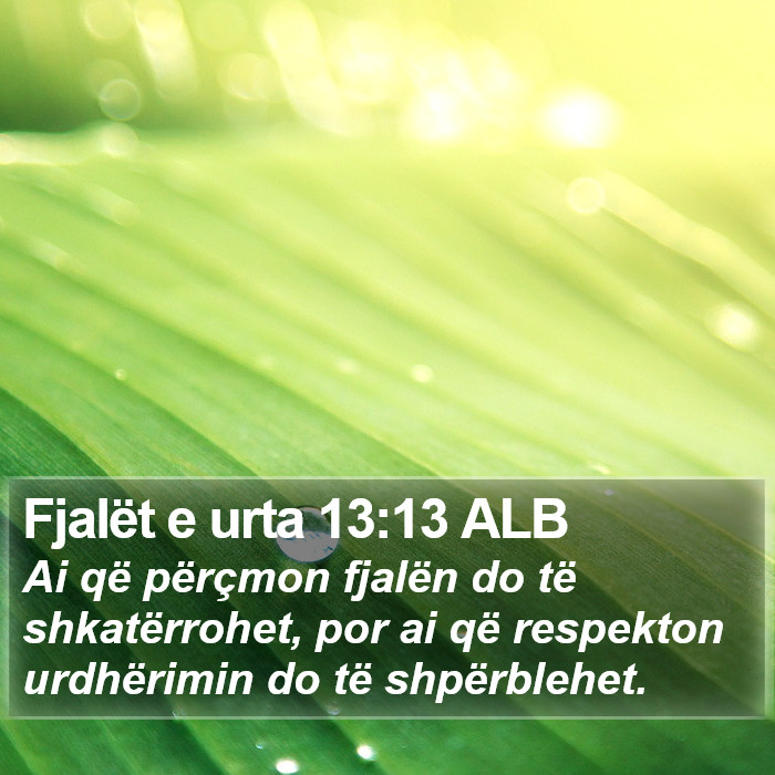 Fjalët e urta 13:13 ALB Bible Study