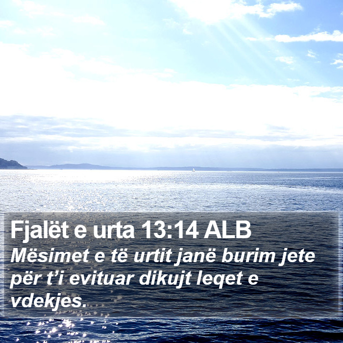 Fjalët e urta 13:14 ALB Bible Study