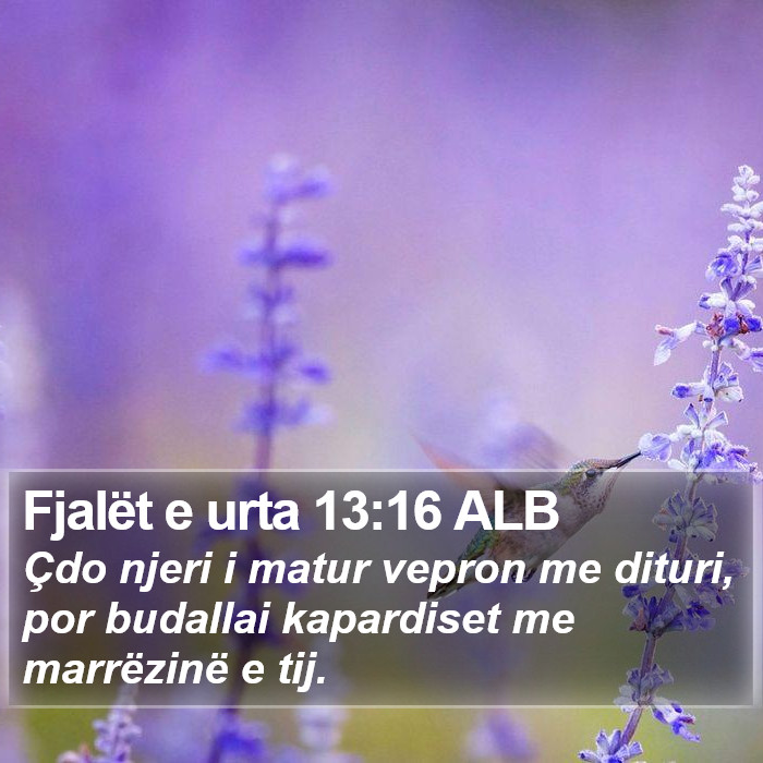 Fjalët e urta 13:16 ALB Bible Study