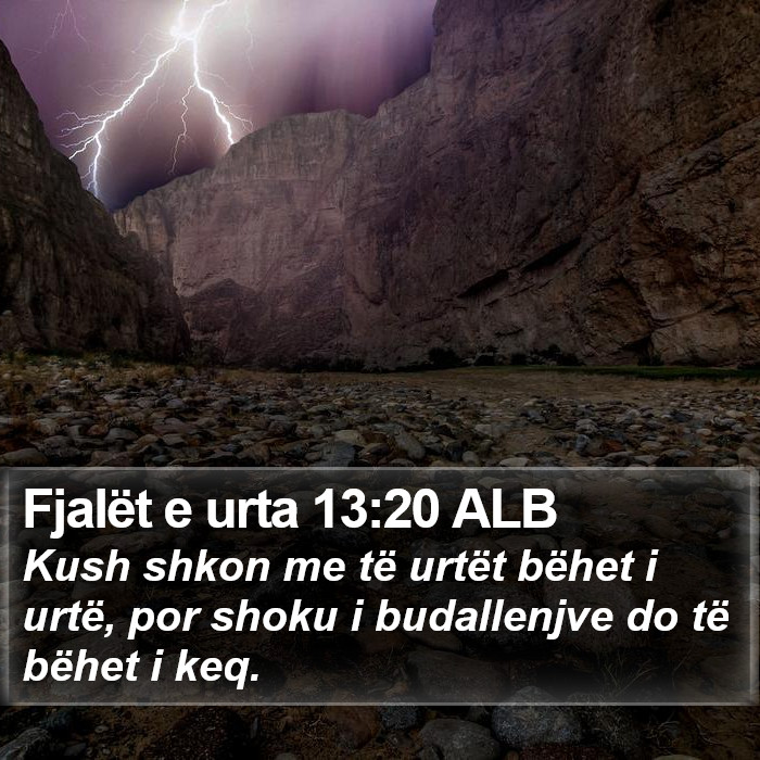 Fjalët e urta 13:20 ALB Bible Study