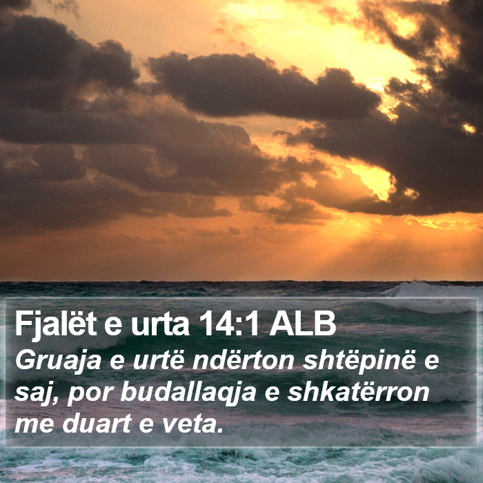 Fjalët e urta 14:1 ALB Bible Study