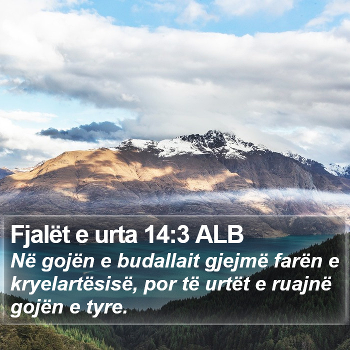 Fjalët e urta 14:3 ALB Bible Study