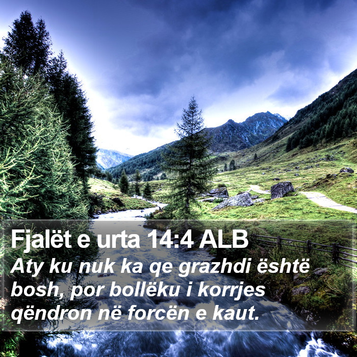 Fjalët e urta 14:4 ALB Bible Study