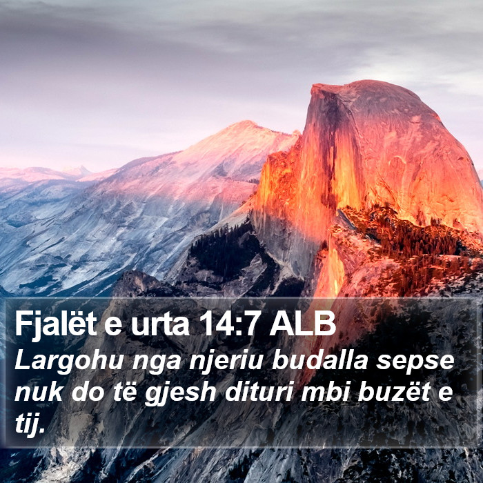 Fjalët e urta 14:7 ALB Bible Study
