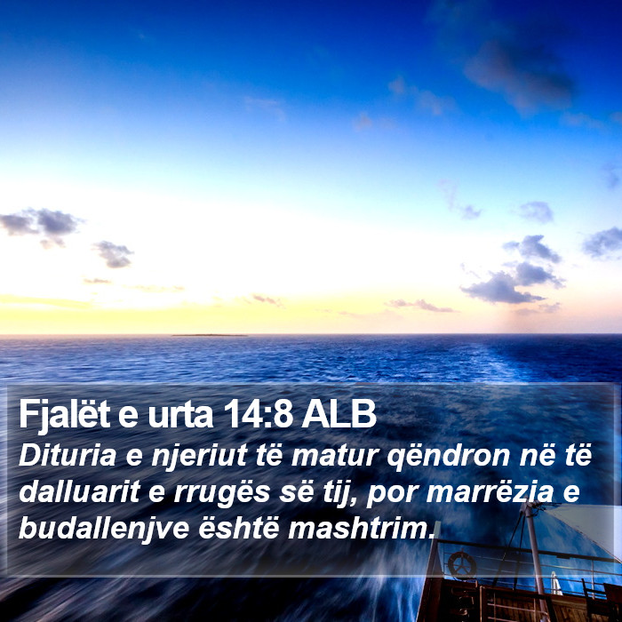 Fjalët e urta 14:8 ALB Bible Study