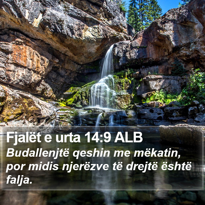 Fjalët e urta 14:9 ALB Bible Study