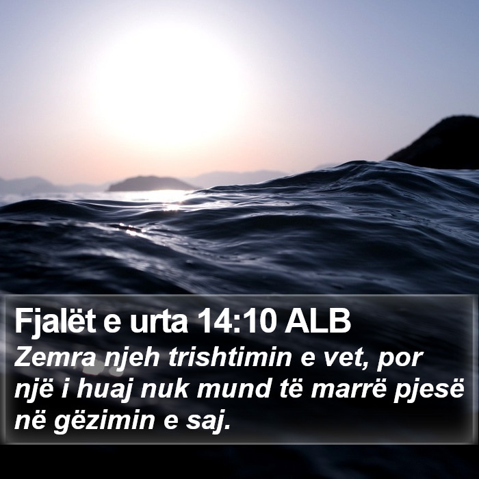 Fjalët e urta 14:10 ALB Bible Study