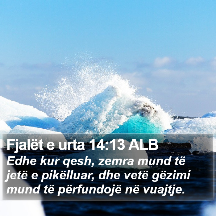 Fjalët e urta 14:13 ALB Bible Study