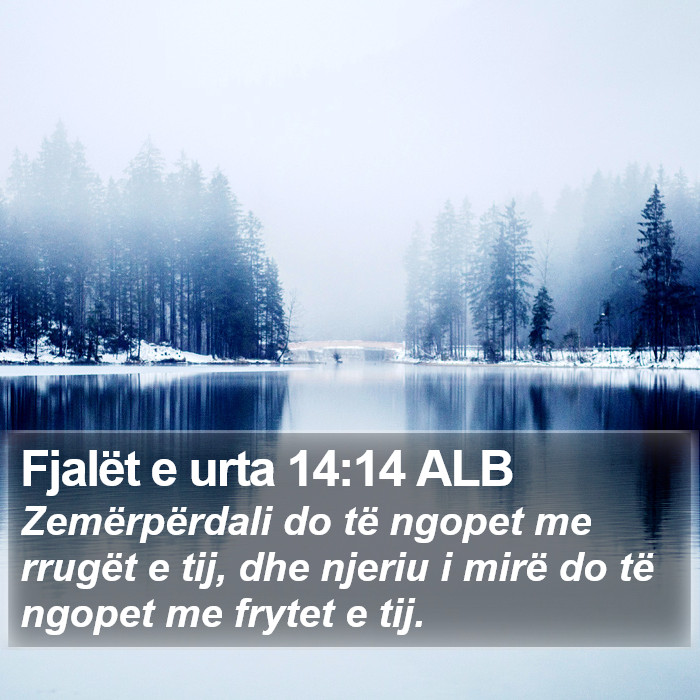 Fjalët e urta 14:14 ALB Bible Study