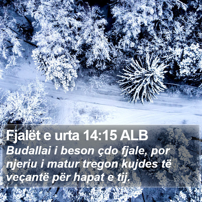 Fjalët e urta 14:15 ALB Bible Study