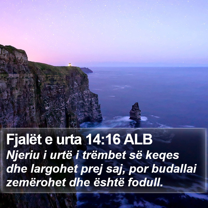 Fjalët e urta 14:16 ALB Bible Study
