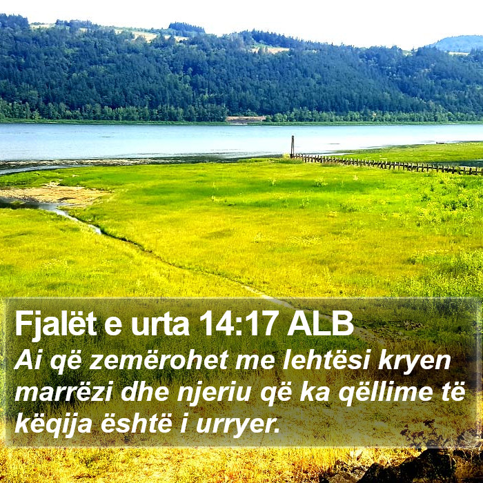 Fjalët e urta 14:17 ALB Bible Study