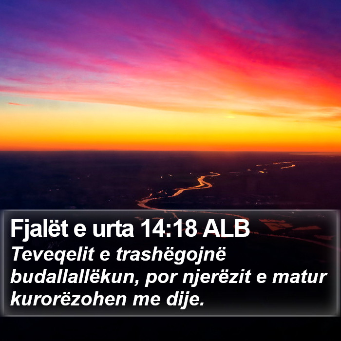 Fjalët e urta 14:18 ALB Bible Study