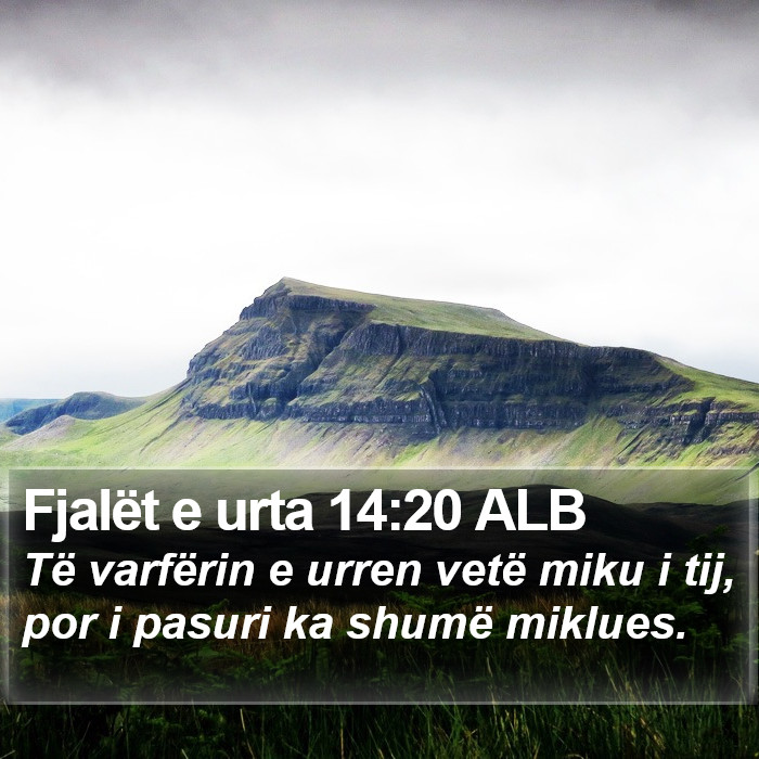 Fjalët e urta 14:20 ALB Bible Study