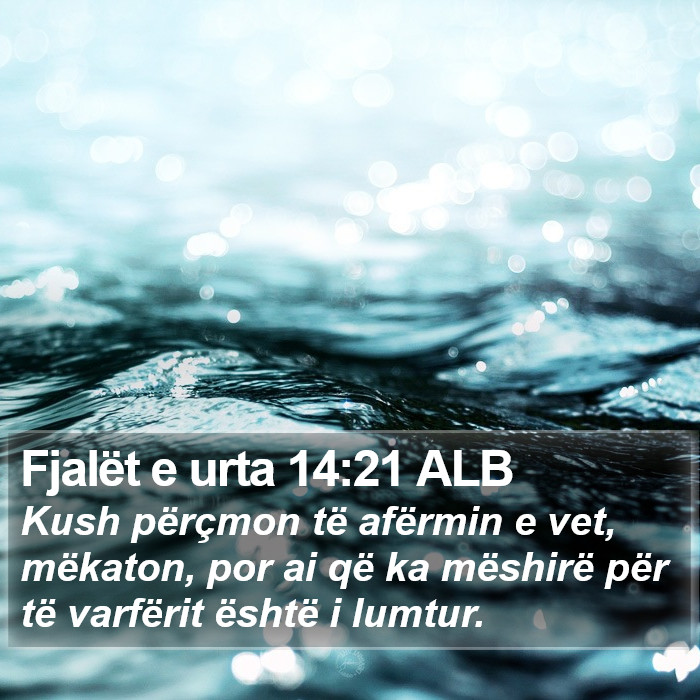 Fjalët e urta 14:21 ALB Bible Study