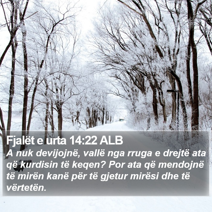 Fjalët e urta 14:22 ALB Bible Study