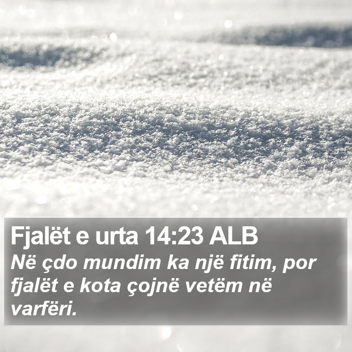 Fjalët e urta 14:23 ALB Bible Study