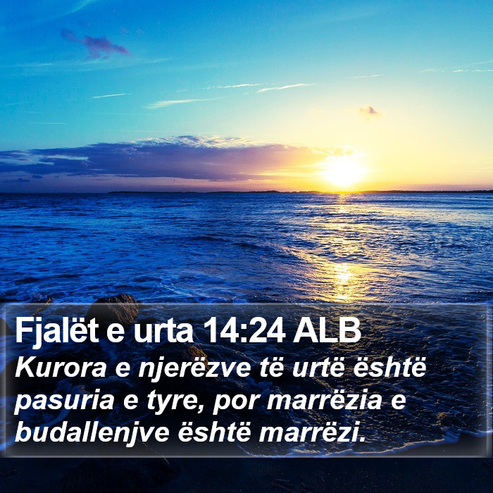 Fjalët e urta 14:24 ALB Bible Study