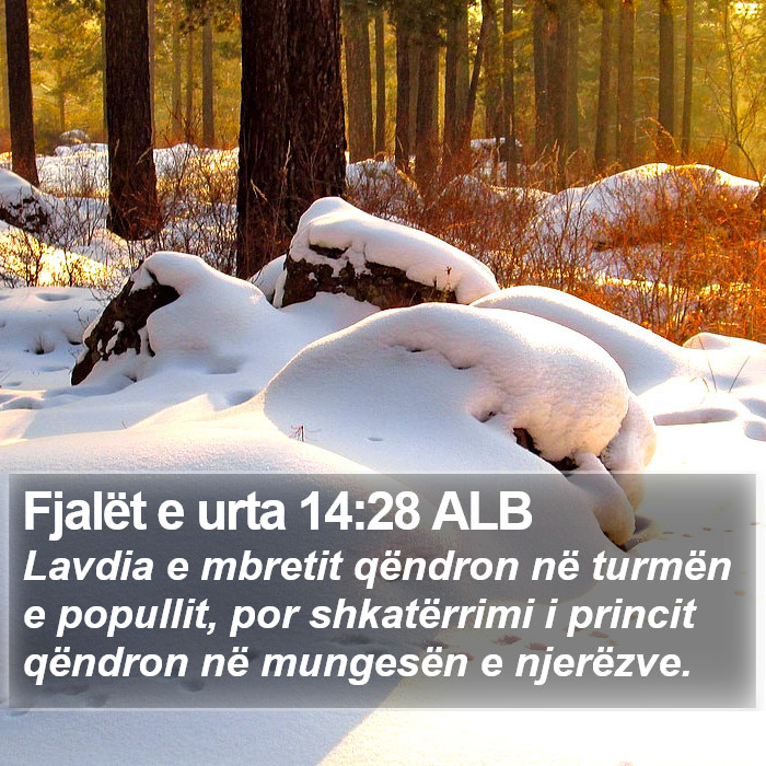 Fjalët e urta 14:28 ALB Bible Study