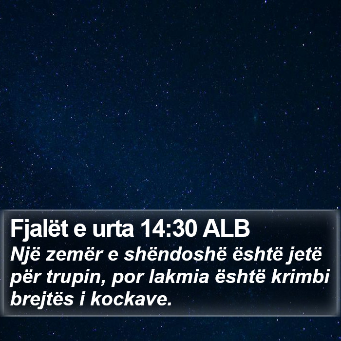 Fjalët e urta 14:30 ALB Bible Study