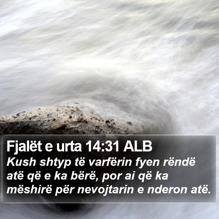 Fjalët e urta 14:31 ALB Bible Study