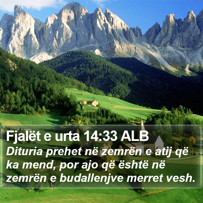 Fjalët e urta 14:33 ALB Bible Study
