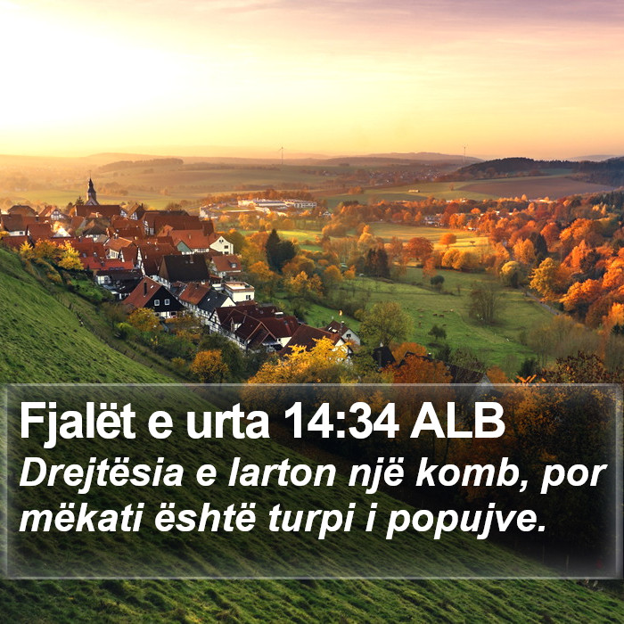 Fjalët e urta 14:34 ALB Bible Study