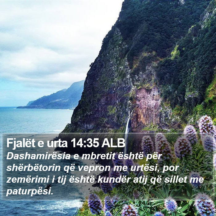 Fjalët e urta 14:35 ALB Bible Study