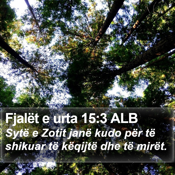 Fjalët e urta 15:3 ALB Bible Study