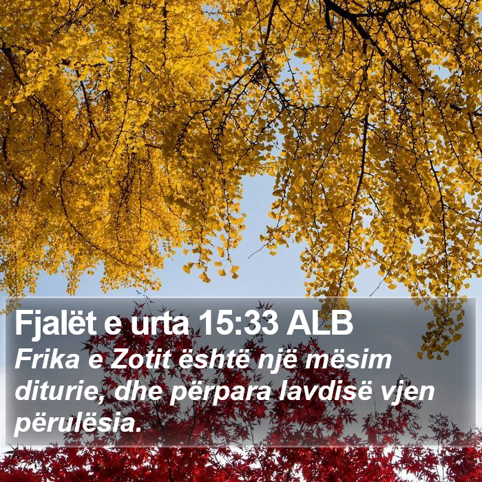 Fjalët e urta 15:33 ALB Bible Study