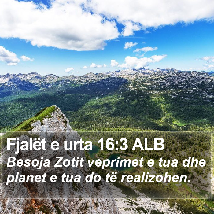 Fjalët e urta 16:3 ALB Bible Study