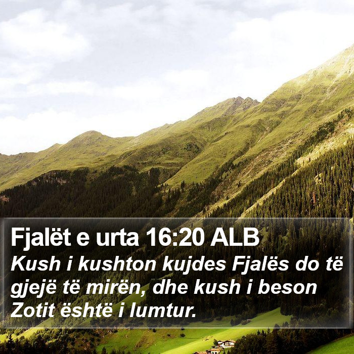 Fjalët e urta 16:20 ALB Bible Study