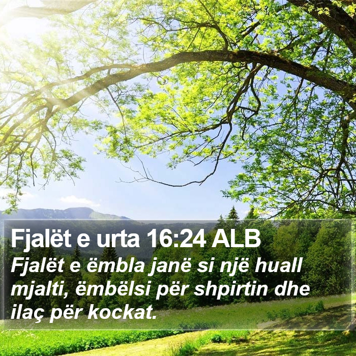 Fjalët e urta 16:24 ALB Bible Study