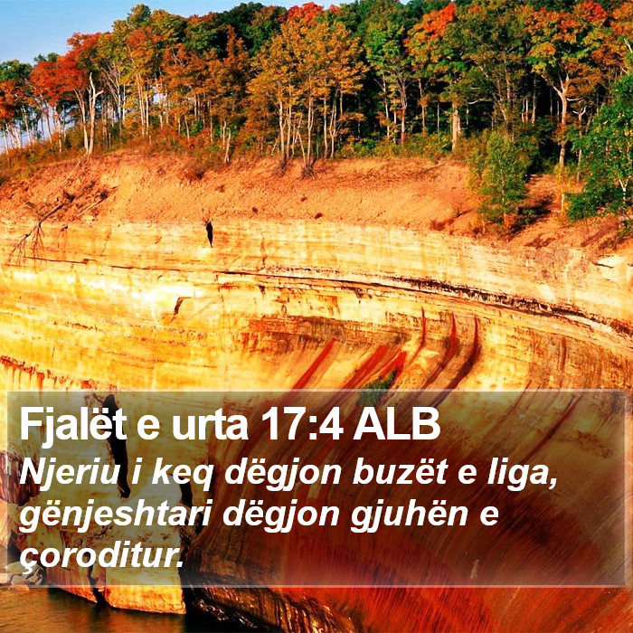 Fjalët e urta 17:4 ALB Bible Study