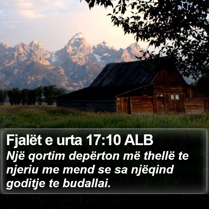 Fjalët e urta 17:10 ALB Bible Study