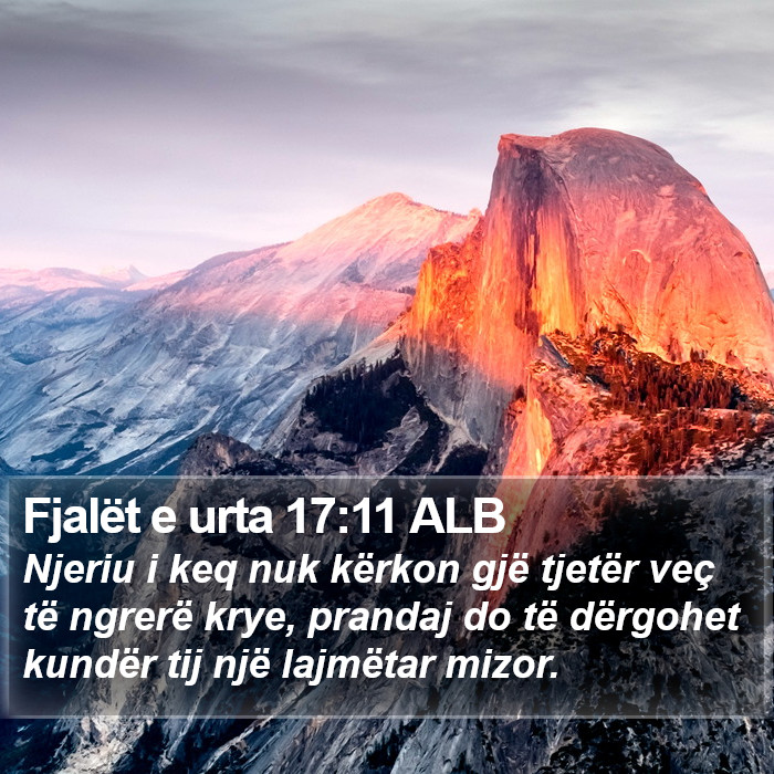 Fjalët e urta 17:11 ALB Bible Study