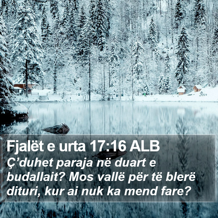 Fjalët e urta 17:16 ALB Bible Study