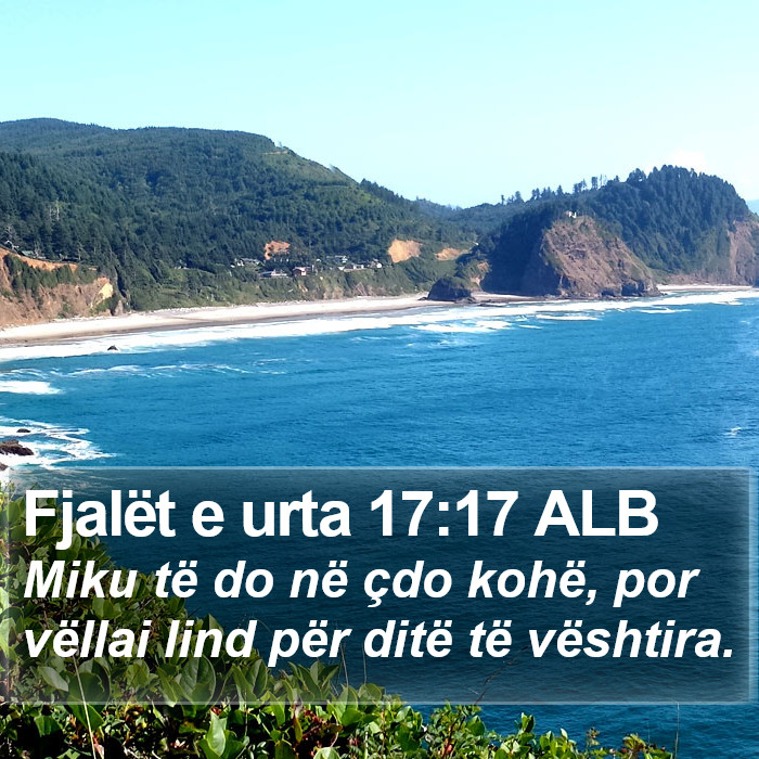 Fjalët e urta 17:17 ALB Bible Study