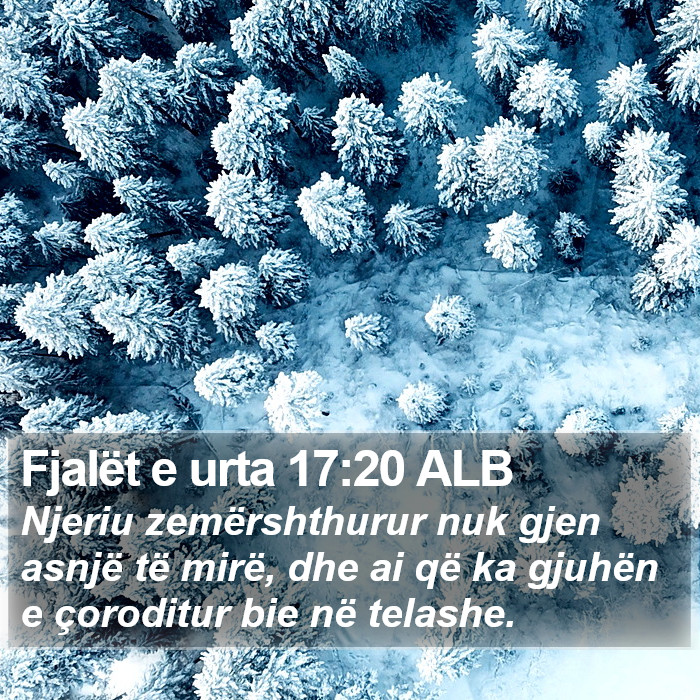 Fjalët e urta 17:20 ALB Bible Study