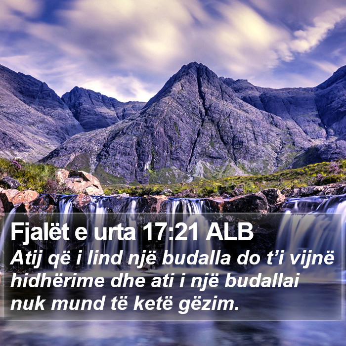 Fjalët e urta 17:21 ALB Bible Study