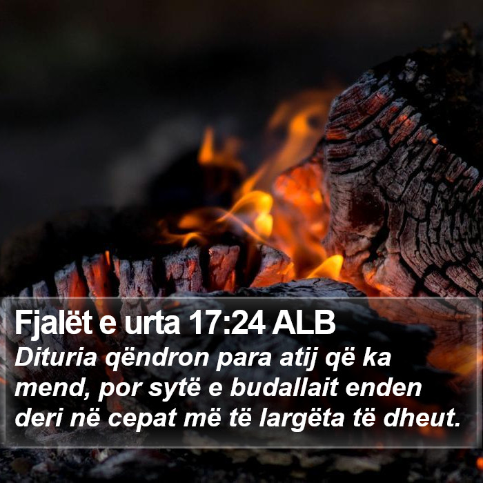 Fjalët e urta 17:24 ALB Bible Study