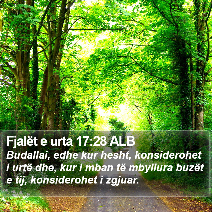 Fjalët e urta 17:28 ALB Bible Study