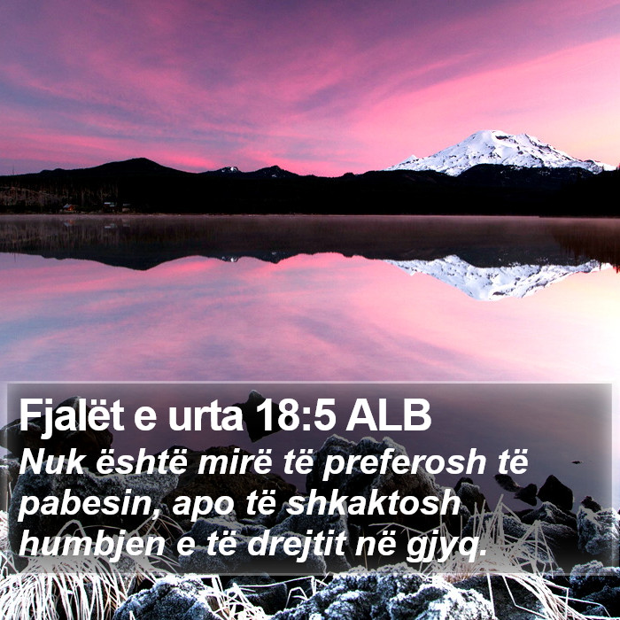 Fjalët e urta 18:5 ALB Bible Study