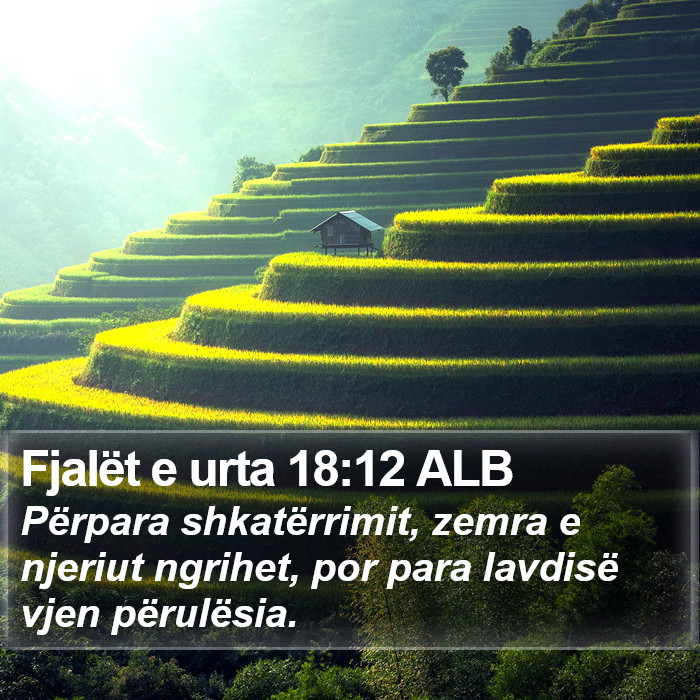 Fjalët e urta 18:12 ALB Bible Study