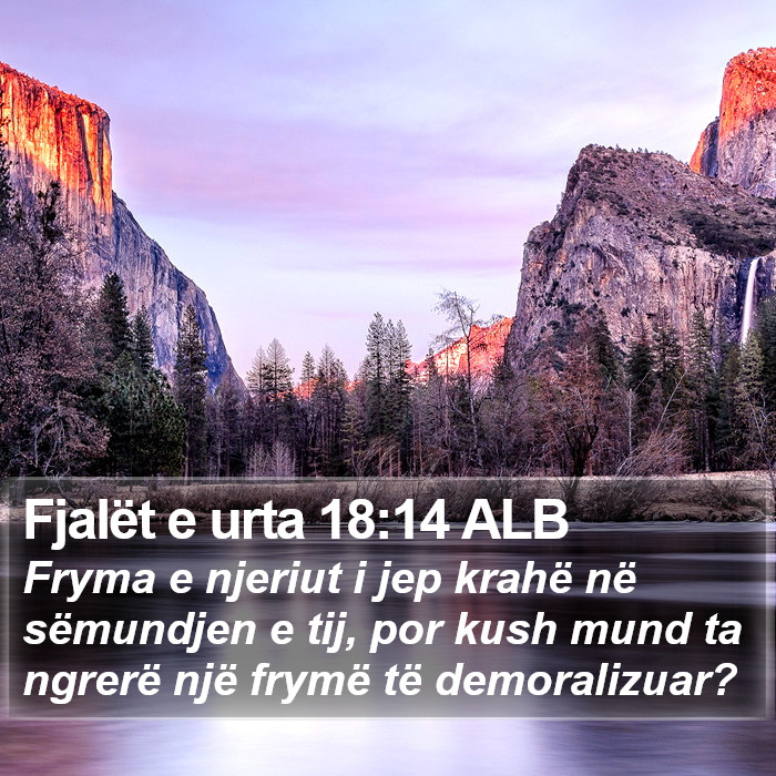 Fjalët e urta 18:14 ALB Bible Study