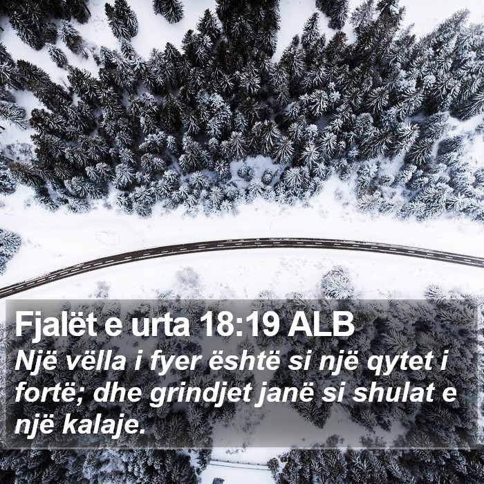 Fjalët e urta 18:19 ALB Bible Study