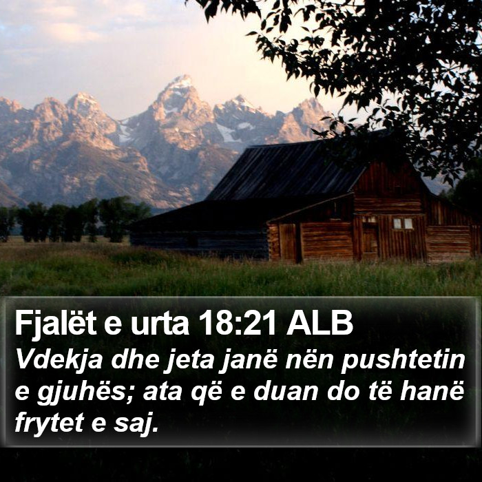 Fjalët e urta 18:21 ALB Bible Study