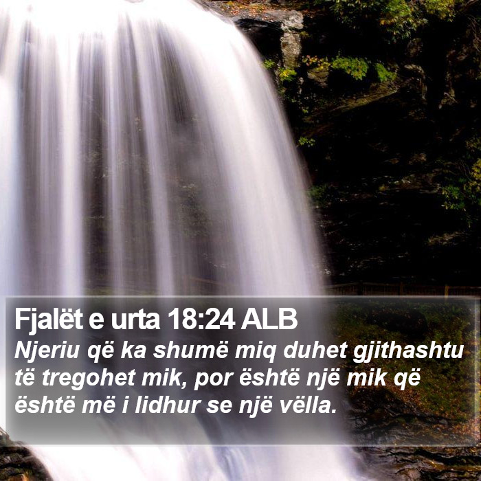 Fjalët e urta 18:24 ALB Bible Study