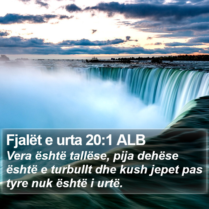 Fjalët e urta 20:1 ALB Bible Study