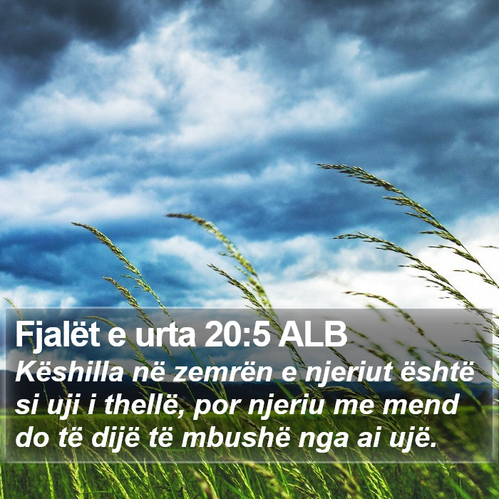 Fjalët e urta 20:5 ALB Bible Study